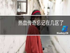 热血传奇忘记在几区了