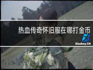 热血传奇怀旧服在哪打金币