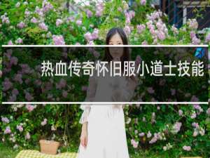 热血传奇怀旧服小道士技能