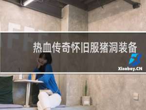 热血传奇怀旧服猪洞装备