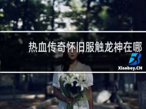 热血传奇怀旧服触龙神在哪