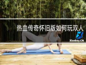热血传奇怀旧版如何玩双人