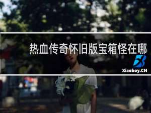 热血传奇怀旧版宝箱怪在哪
