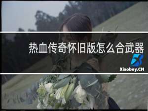 热血传奇怀旧版怎么合武器