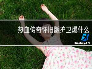 热血传奇怀旧版护卫爆什么