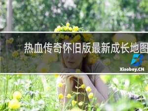 热血传奇怀旧版最新成长地图