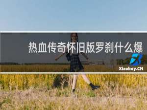 热血传奇怀旧版罗刹什么爆