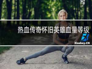 热血传奇怀旧英雄血量等级