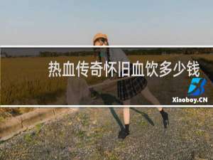 热血传奇怀旧血饮多少钱