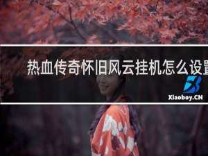 热血传奇怀旧风云挂机怎么设置