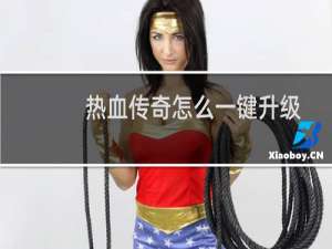 热血传奇怎么一键升级