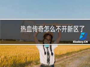 热血传奇怎么不开新区了