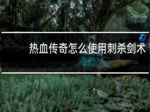 热血传奇怎么使用刺杀剑术