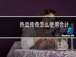 热血传奇怎么使用合计
