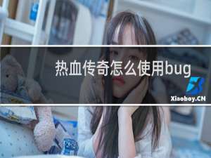 热血传奇怎么使用bug