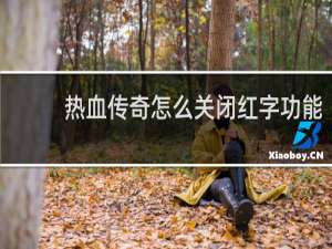 热血传奇怎么关闭红字功能