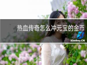 热血传奇怎么冲元宝的金币