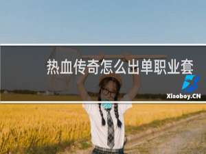 热血传奇怎么出单职业套
