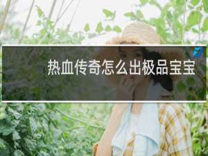 热血传奇怎么出极品宝宝