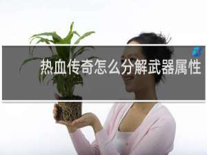 热血传奇怎么分解武器属性