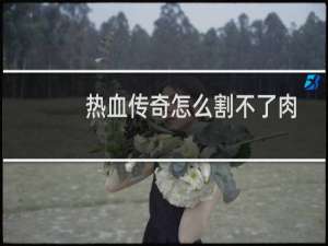 热血传奇怎么割不了肉
