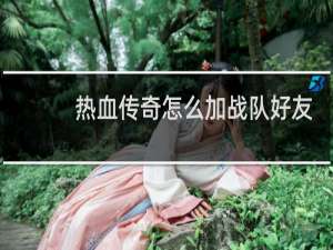 热血传奇怎么加战队好友