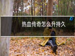 热血传奇怎么升持久