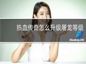 热血传奇怎么升级屠龙等级