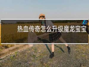热血传奇怎么升级魔龙宝宝