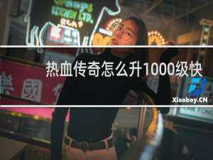 热血传奇怎么升1000级快