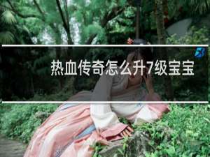 熱血傳奇怎么升7級(jí)寶寶