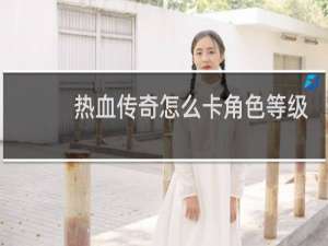 热血传奇怎么卡角色等级
