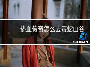 热血传奇怎么去毒蛇山谷