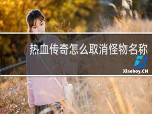热血传奇怎么取消怪物名称