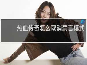 热血传奇怎么取消禁言模式