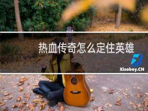 热血传奇怎么定住英雄