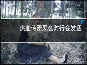 热血传奇怎么对行会发话