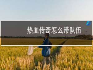 热血传奇怎么带队伍