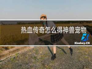 热血传奇怎么得神兽宠物