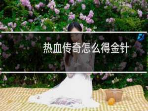 热血传奇怎么得金针