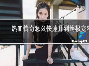 热血传奇怎么快速升到终极宠物