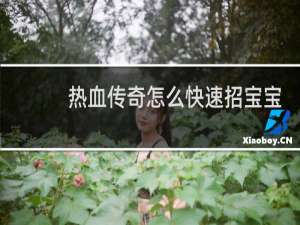 热血传奇怎么快速招宝宝