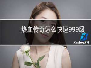 热血传奇怎么快速999级