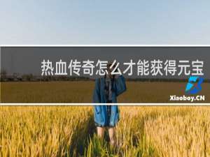 热血传奇怎么才能获得元宝