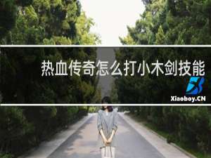 热血传奇怎么打小木剑技能