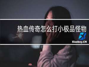 热血传奇怎么打小极品怪物