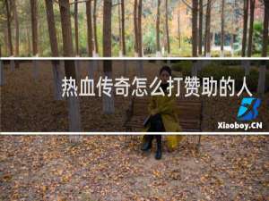 热血传奇怎么打赞助的人