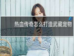 热血传奇怎么打造武藏宠物