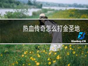 热血传奇怎么打金圣地