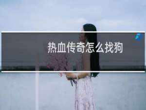 热血传奇怎么找狗